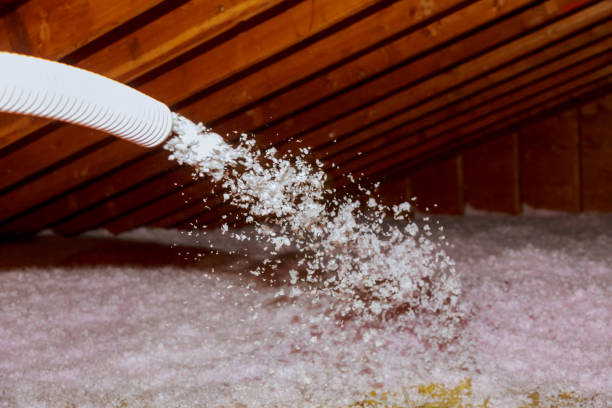 Best Commercial Insulation in Gantt, SC