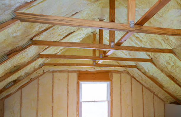 Best Insulation Maintenance and Repair in Gantt, SC